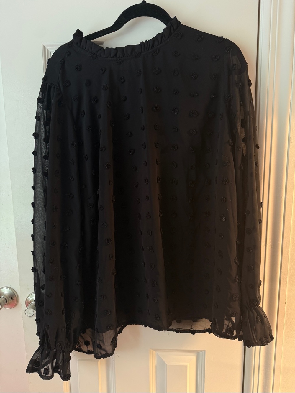 Black Sheer Dot-Texture Long Sleeve Blouse